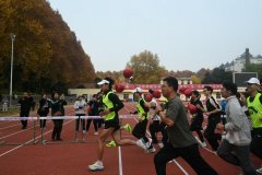 终究成功己认为最大的梧桐叶